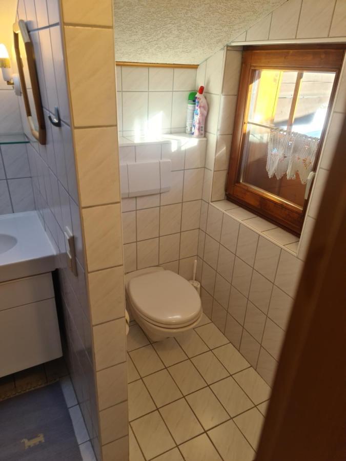 Schoene Ferienwohnung Im Naturpark Grebenzen Sankt Lambrecht Bagian luar foto